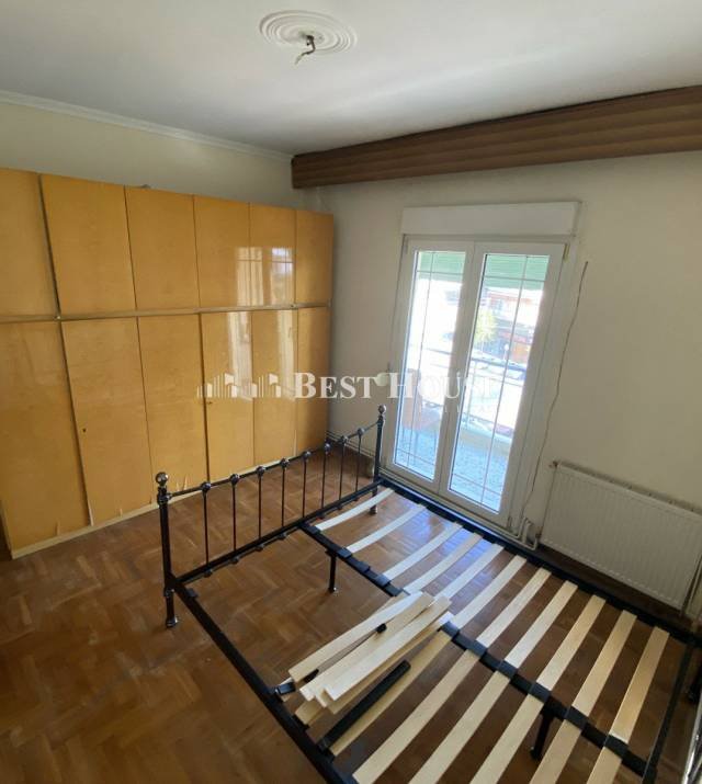 11 L7443 Nees.jpg